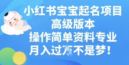 小红书宝宝起名项目高级版本,操作简单,资料专业,月入过WD先生轻创|D先生轻创网|神话资源库|神话社D先生轻创