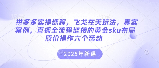 拼多多实操课程,飞龙在天玩法,真实案例,直播全流程链接的黄金sku布局原价操作六个活动D先生轻创|D先生轻创网|神话资源库|神话社D先生轻创