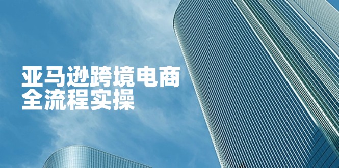 (14252期)亚马逊跨境电商全流程实操,教你从零开始,掌握店铺运营与广告技巧D先生轻创|D先生轻创网|神话资源库|神话社D先生轻创