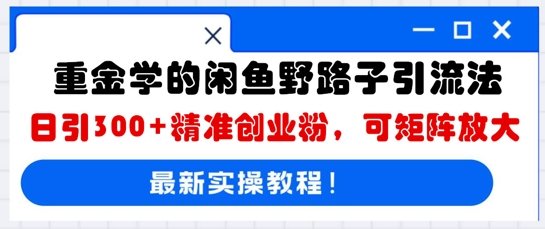 重金学的闲鱼野路子引流法,日引300+精准创业粉,可矩阵放大D先生轻创|D先生轻创网|神话资源库|神话社D先生轻创